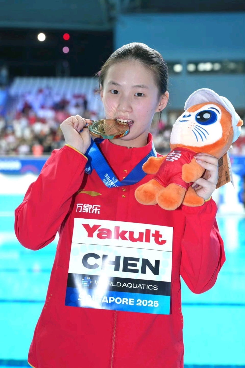 世锦赛历史, img, 奥运冠军陈 世锦赛历史, img, 奥运冠军陈